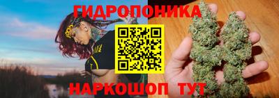 винт Пушкино