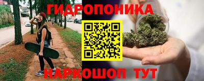 прущие крисы Пугачёв