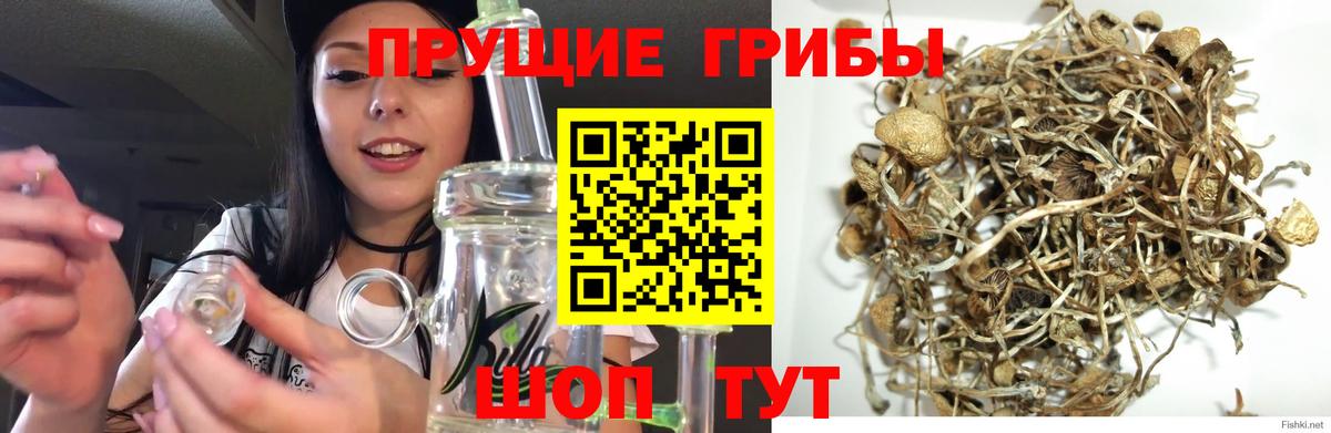 Галлюциногенные грибы GOLDEN TEACHER Партизанск